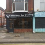 A Breed Apart Dog Grooming
